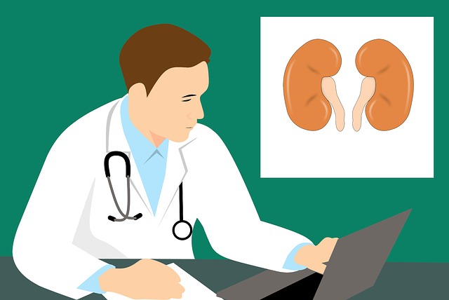 causes of kidney disease