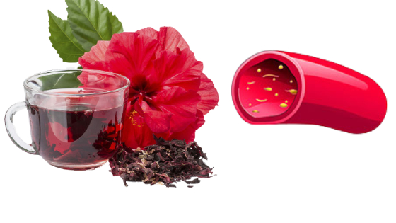 Hibiscus Tea Lower Blood Pressure
