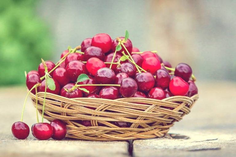 Impressive benefits of eating cherries