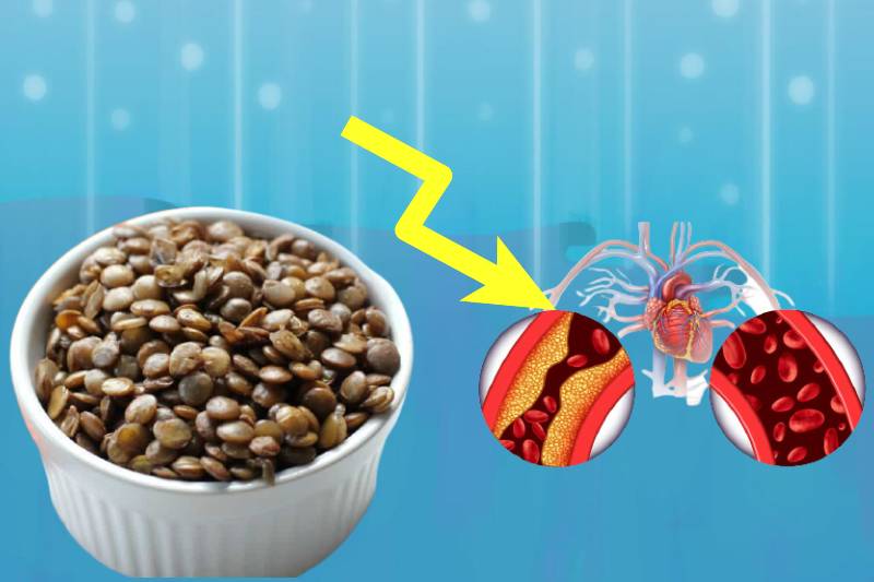 10 Benefits Of Eating Lentils Why They Are Good