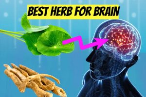 9 best brain boosting herb