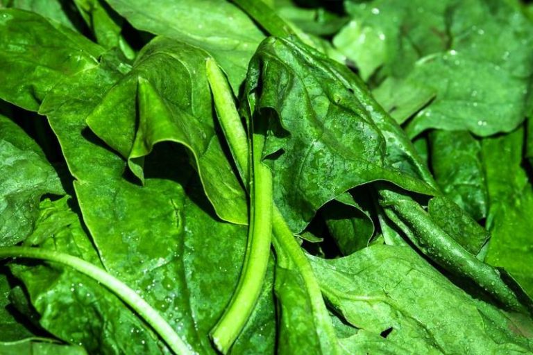 Top 10 Foods That High In Potassium Home Remedies By JD