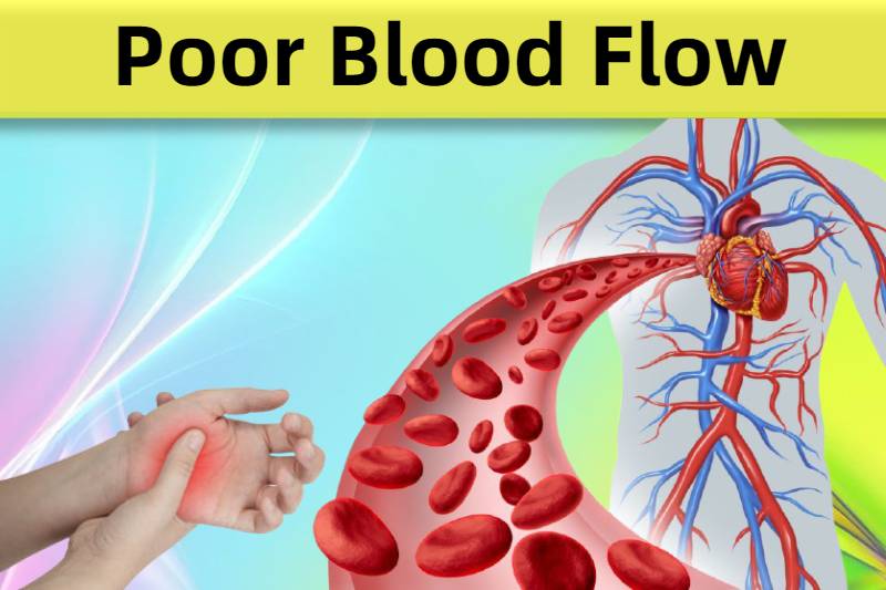 signs of poor blood circulation