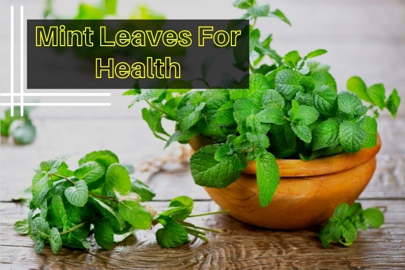 Mint leaves health benefits