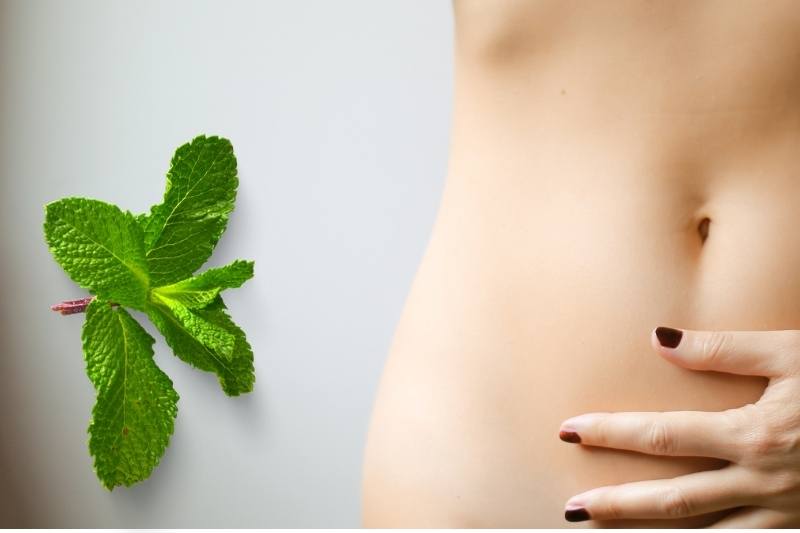 mint to reduce bloating pain
