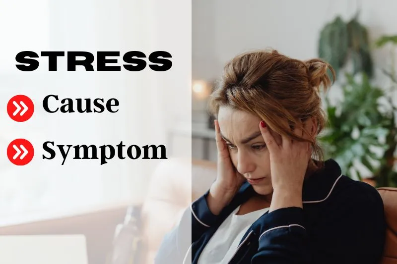stress cause and symptoms
